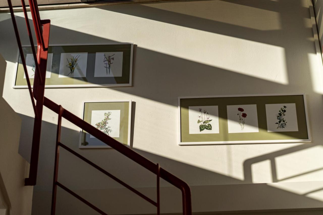 Anemi Apartments ナフプリオ エクステリア 写真